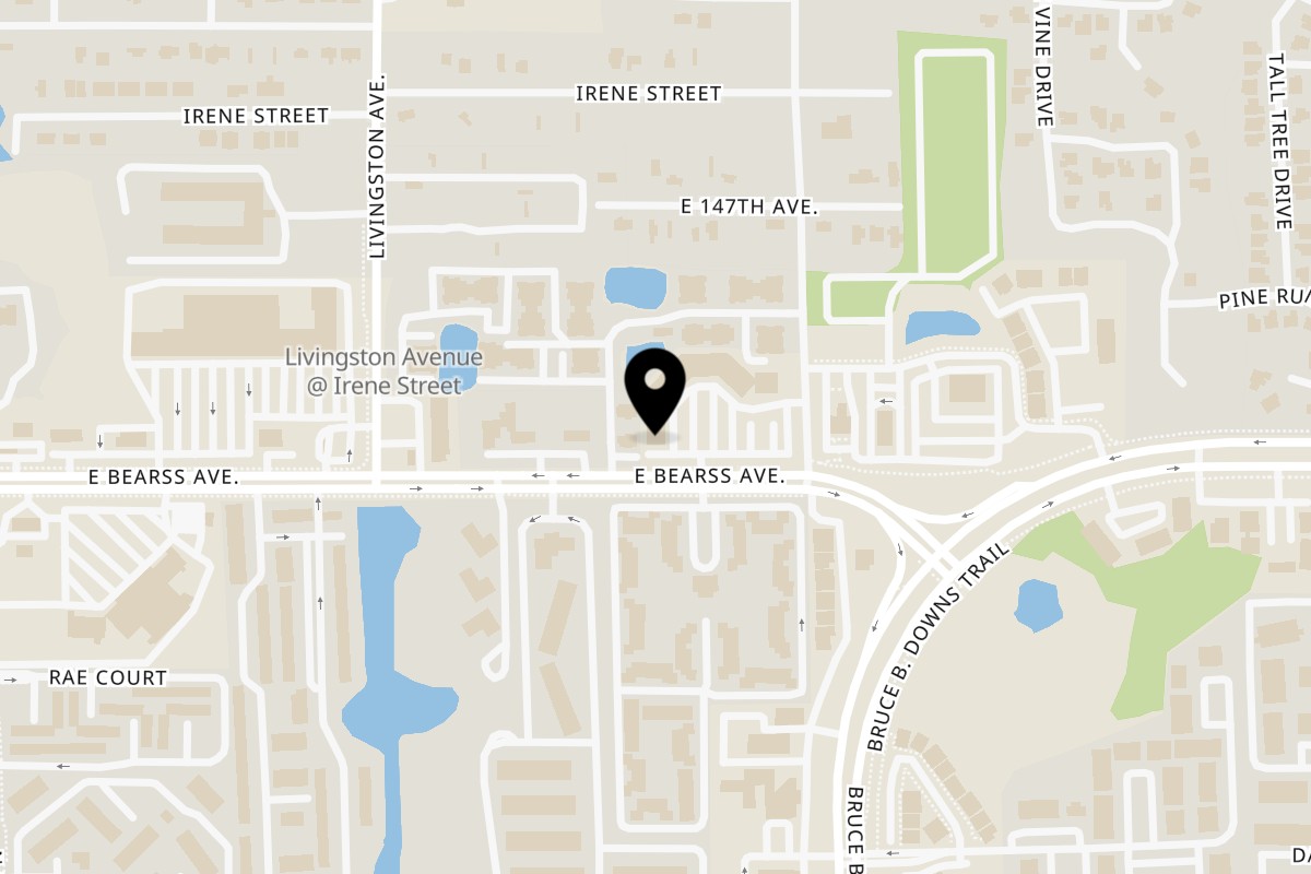 Map showing the location of Don Julio's Authentic Mexican Cuisine Bearss Ave on 2802 E. Bearss in Lutz